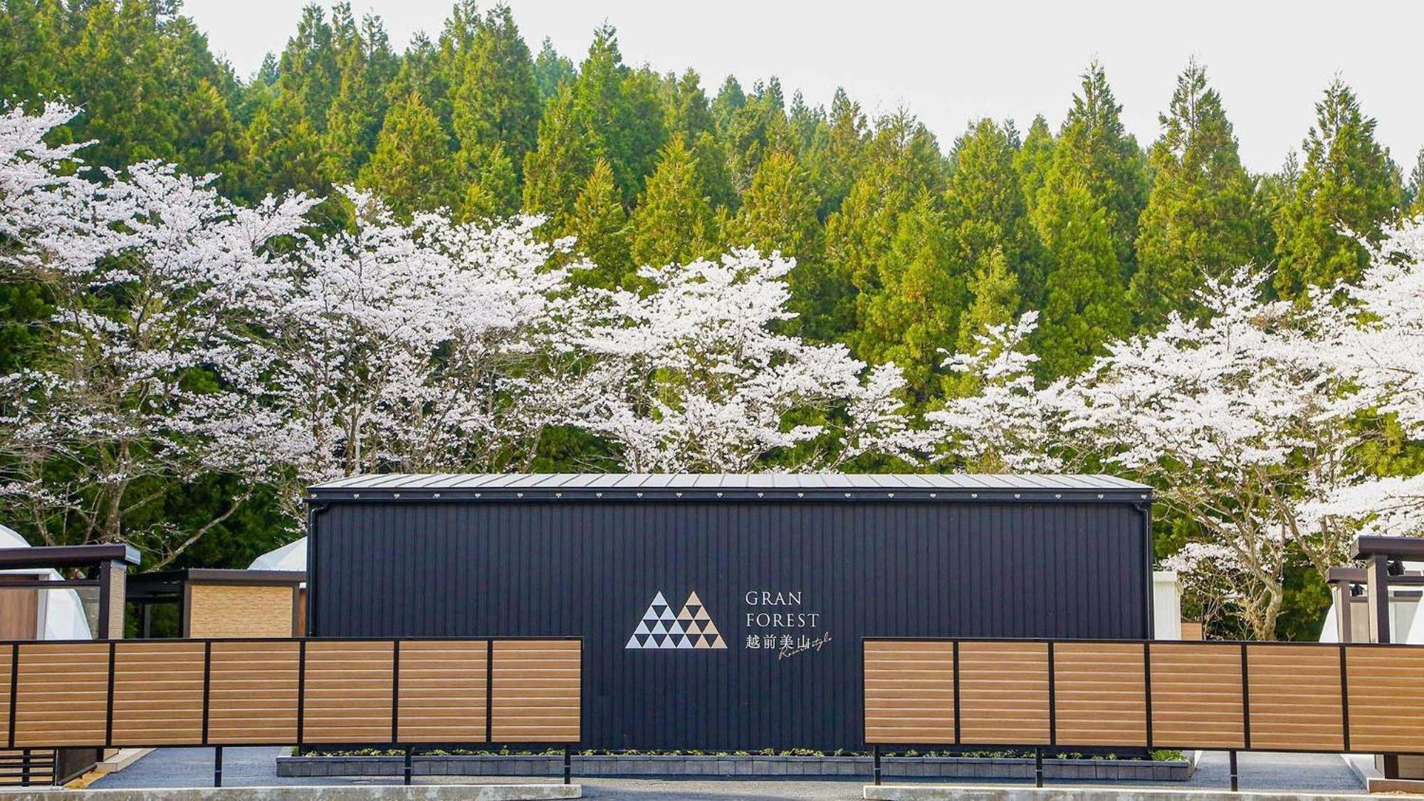 Lupo Forest "Gran Forest Echizen Miyama" - Vacation Stay 07137V Fukui Extérieur photo